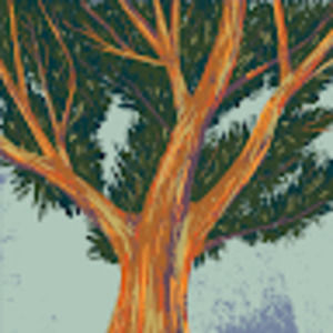 Meet your Posher, Wiktoria